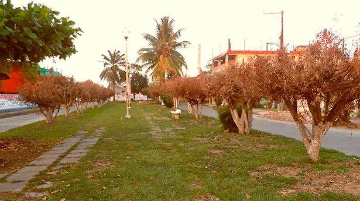 505-gris