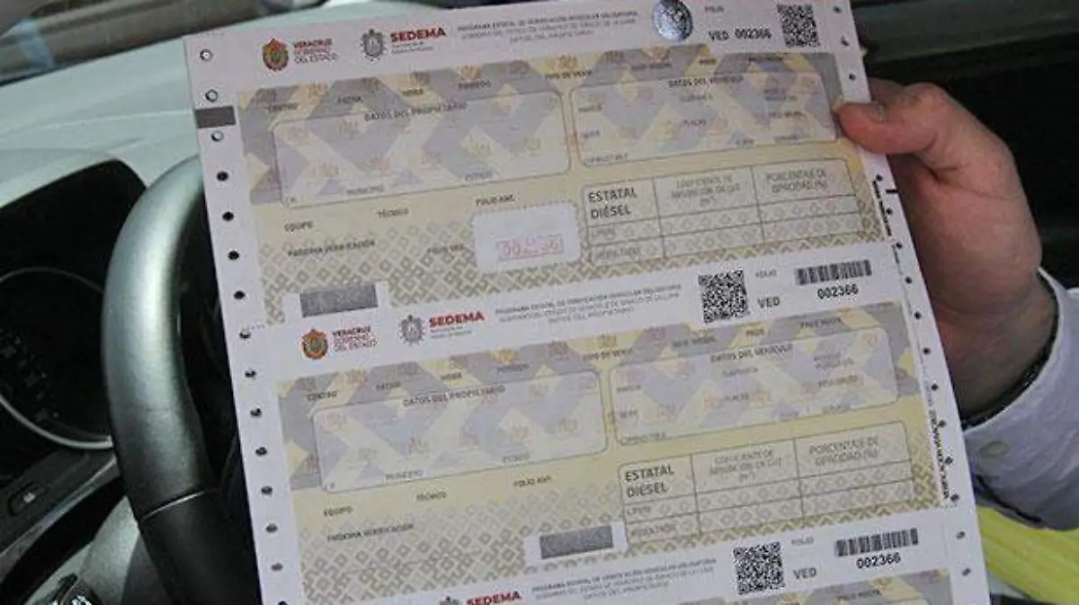 Boleta-de-verificacion