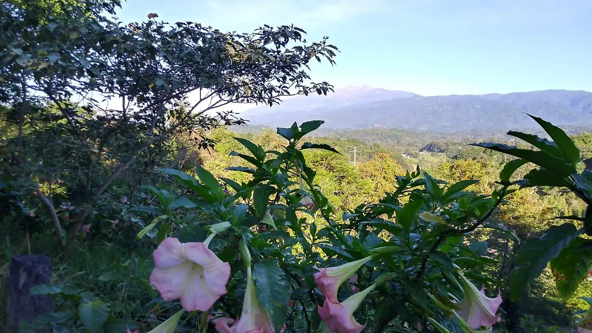 climaxalapa