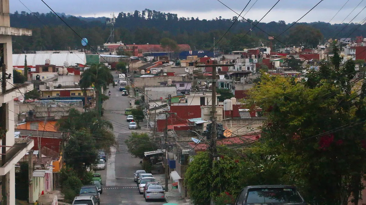 david- Revolución 035