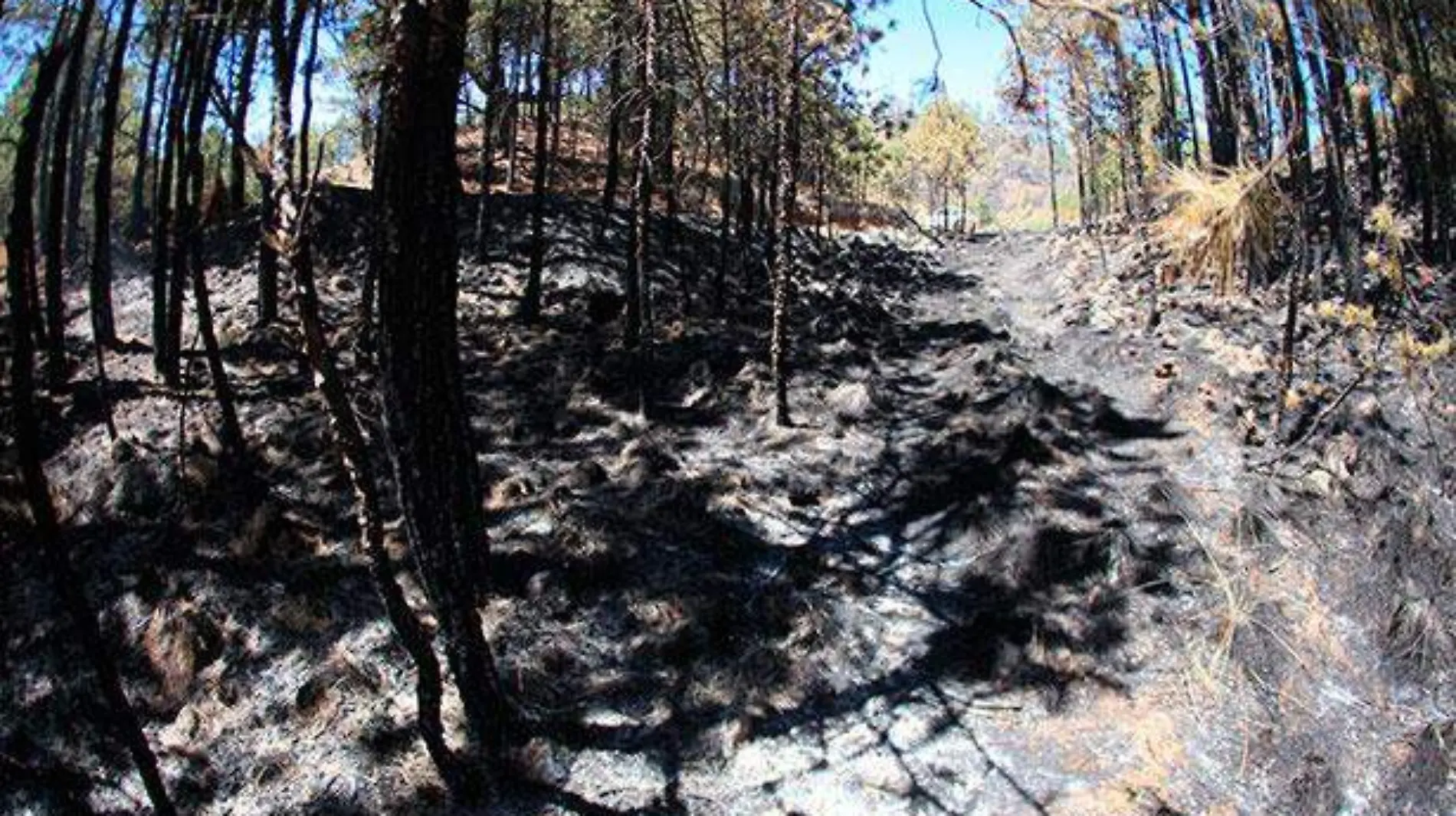 incendio-en-las-vigas