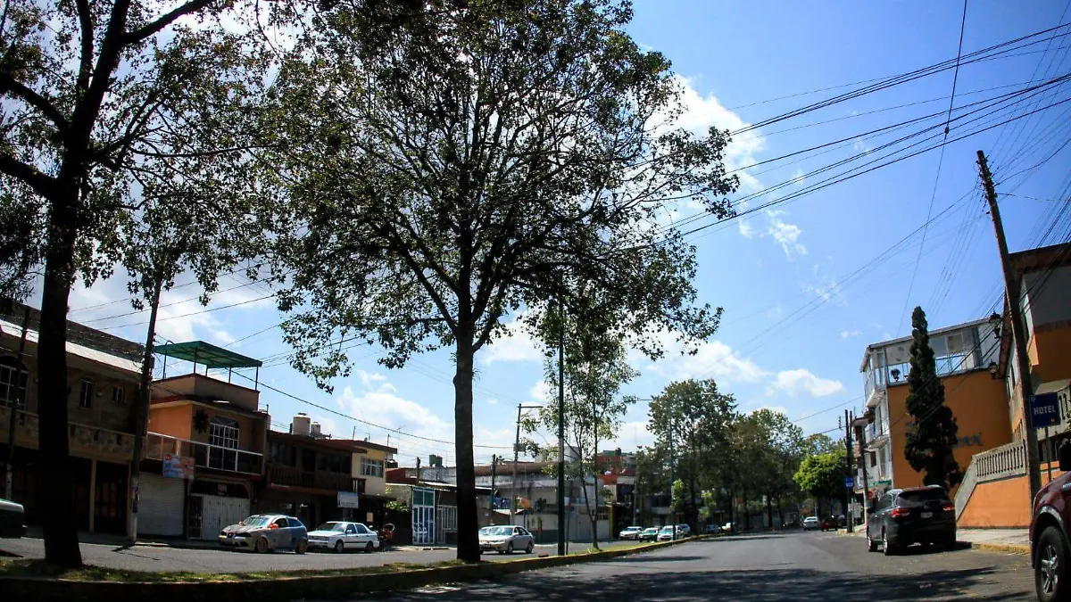 clima xalapa rene 1