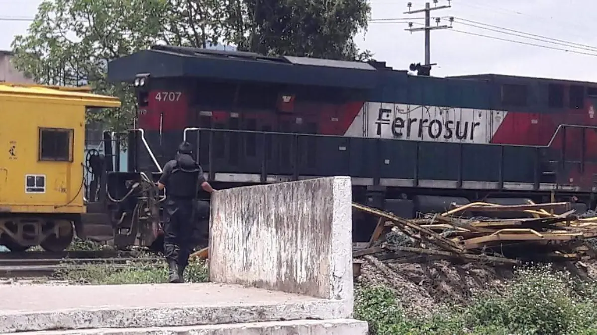 ferrosur