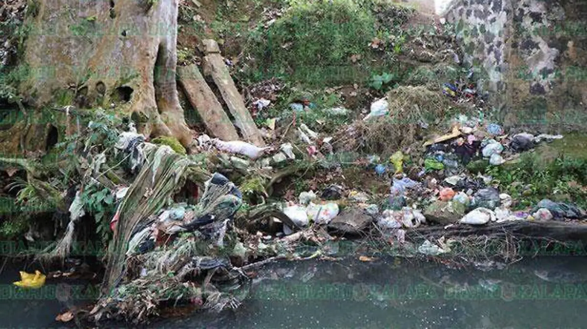 Rio