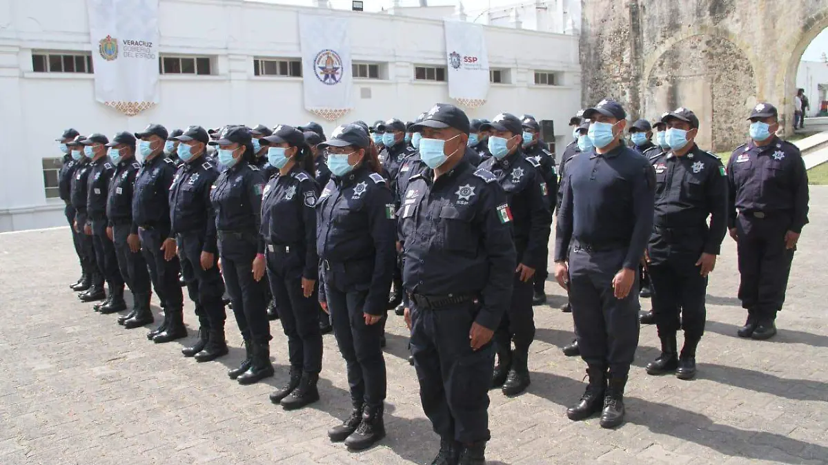 Seguridad Pública
