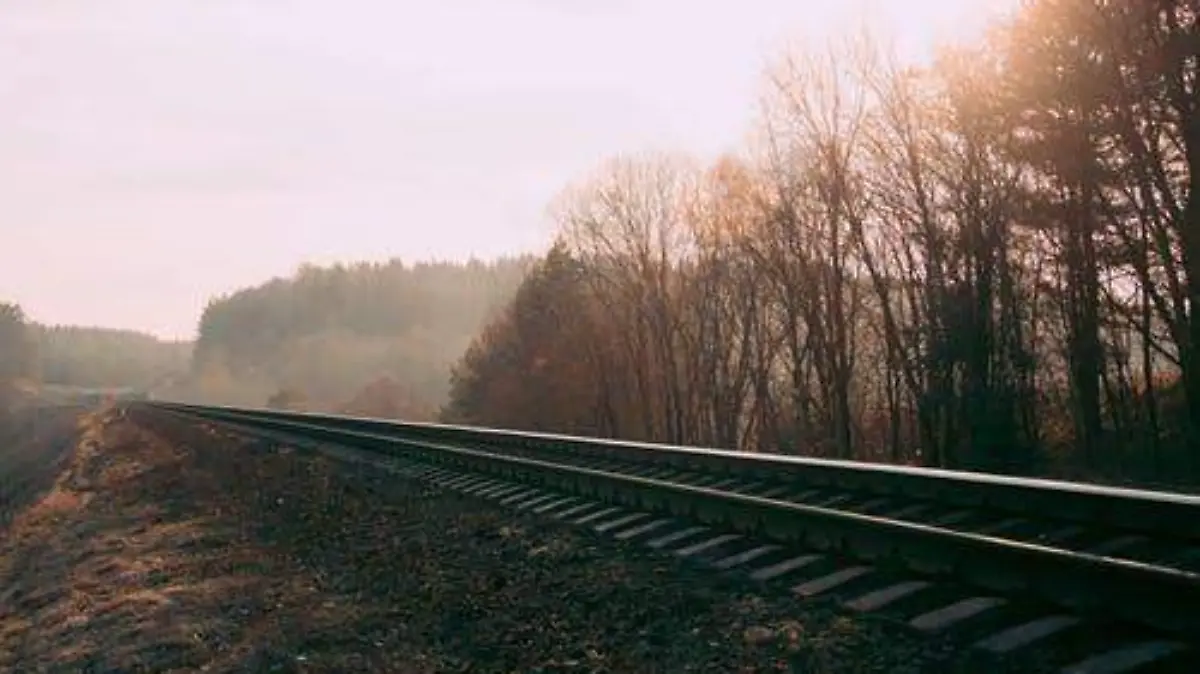 Tren del Istmo, rutas y todo lo que debes saber