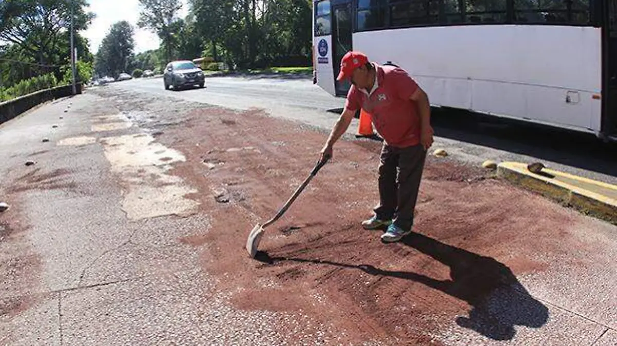 TAPA BACHES