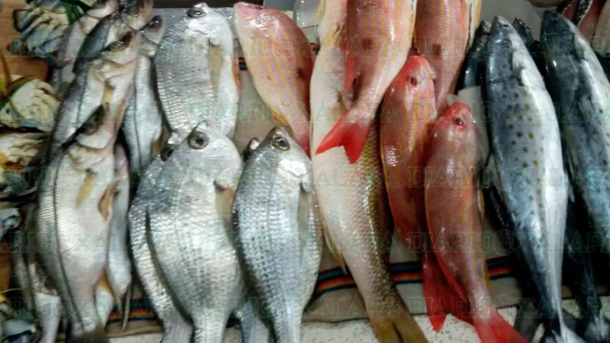 pescados1