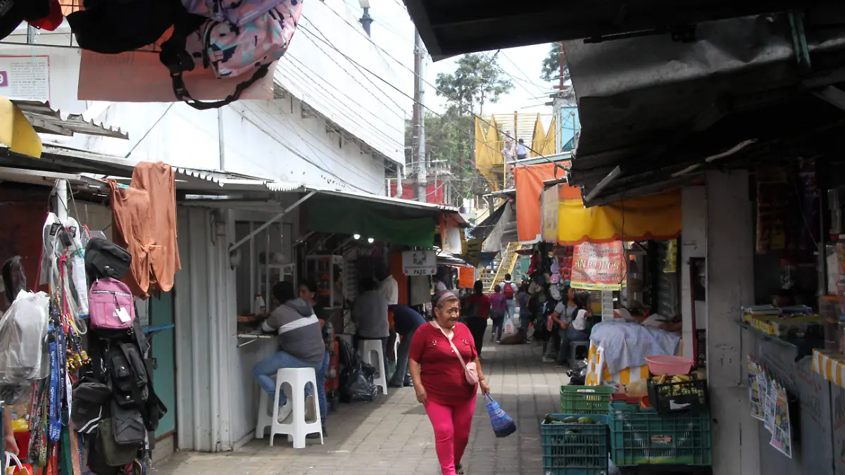 JE070720234683Las Trancas-Comercios