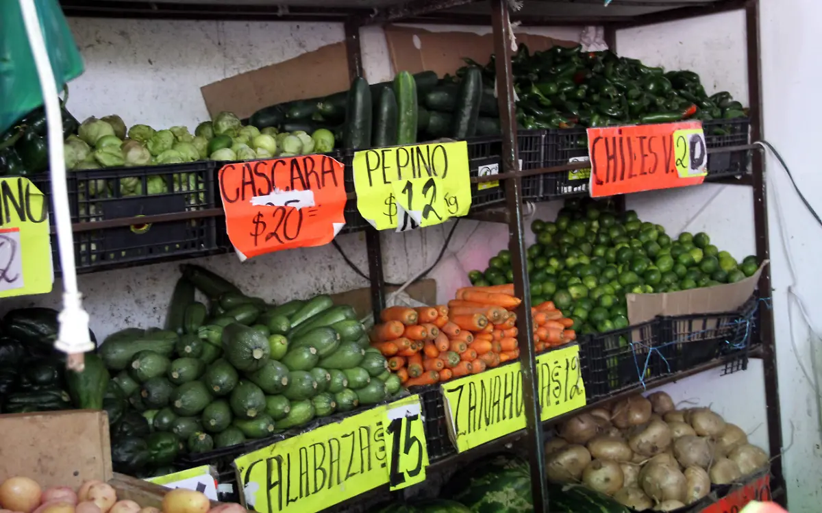 JE050520237182Fruteria