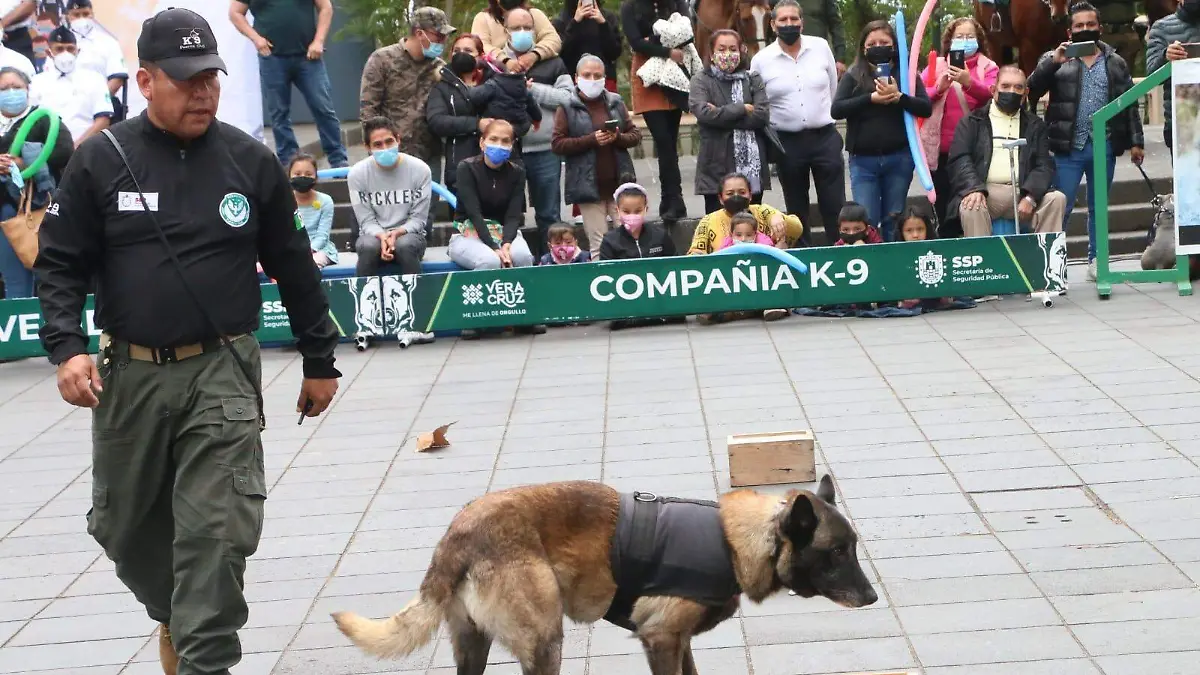 demostracion