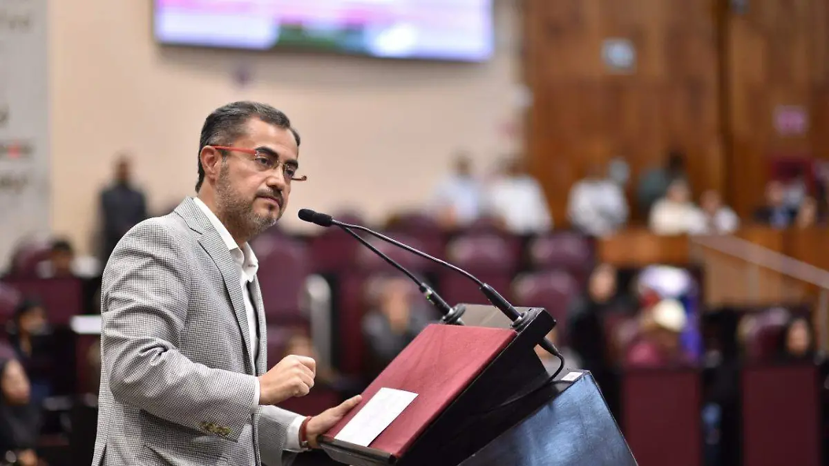 Diputado (6)