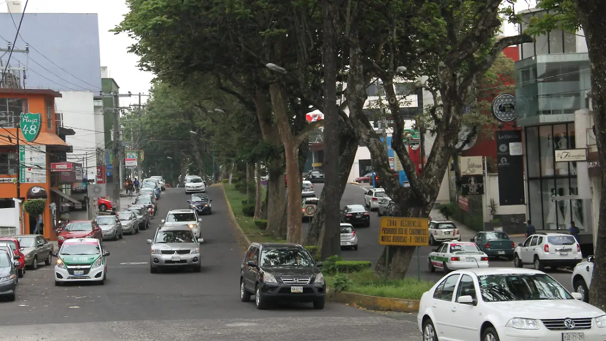 JE010618039AvAraucarias