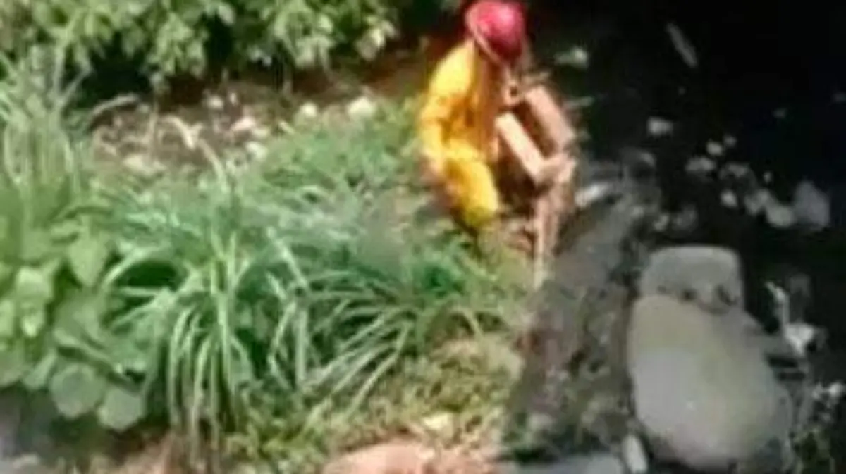 perro