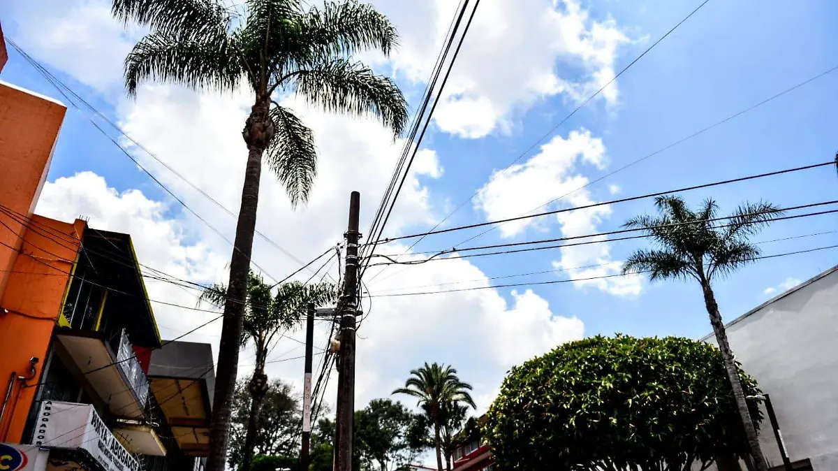 WhatsApp Image 2022-05-10 at 1.59.18 PM