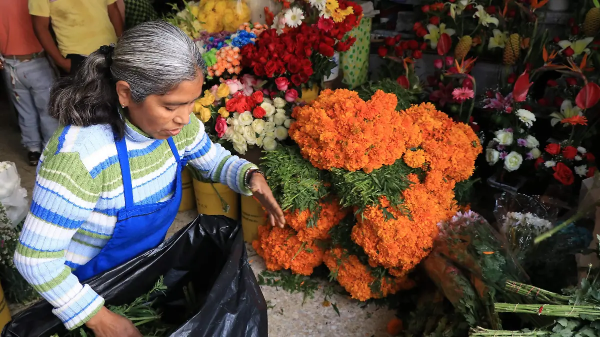 Flores