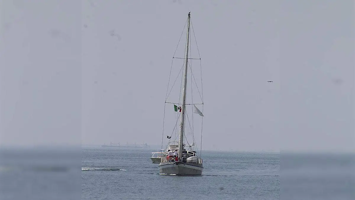 Familia velero