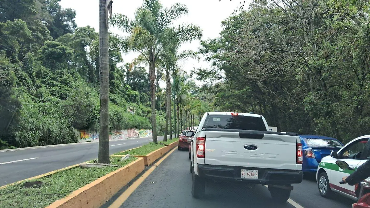 WhatsApp Image 2023-10-07 at 12.01.55 PM