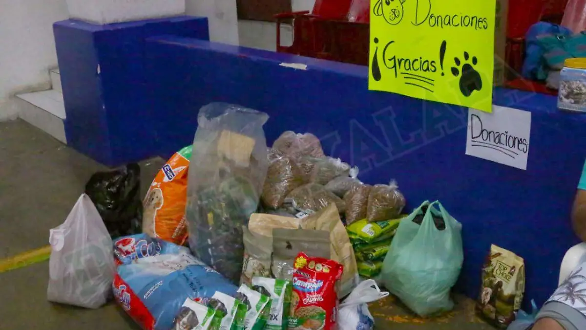 donación croquetas