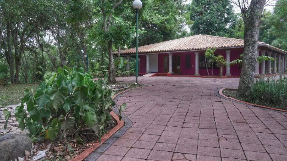 Interior Jardín de las esculturas
