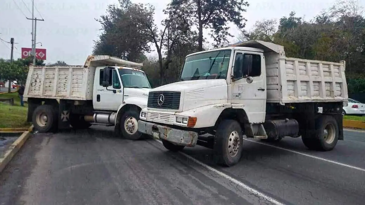 manifestacion-camiones