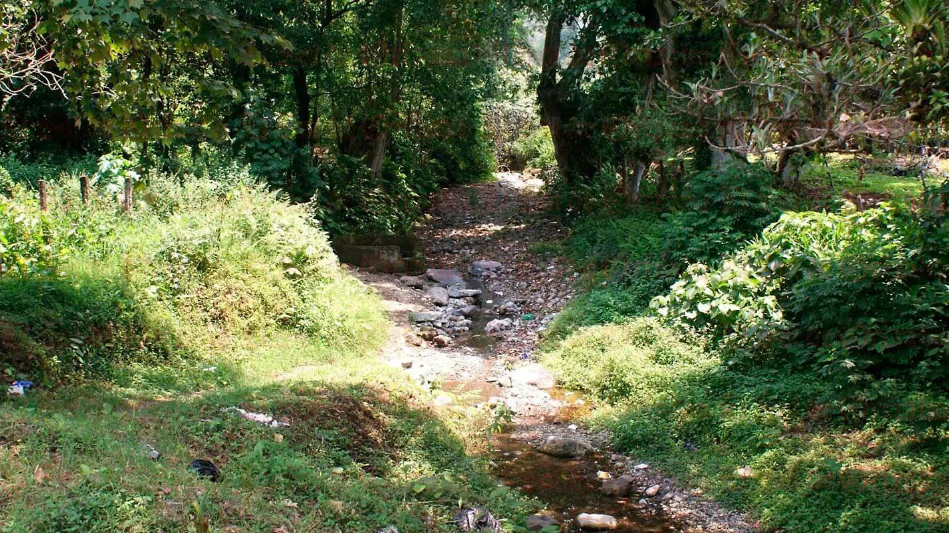 Relleno-Nogales