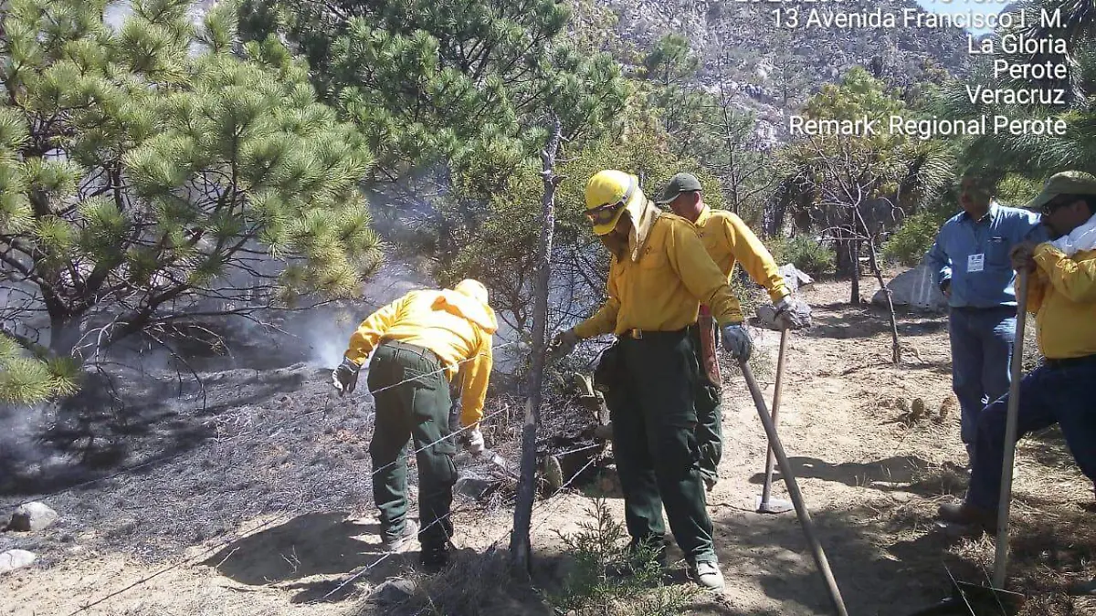 La Gloria Perote (2)