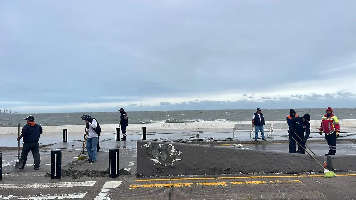 WhatsApp Image 2022-12-24 at 18.21.45