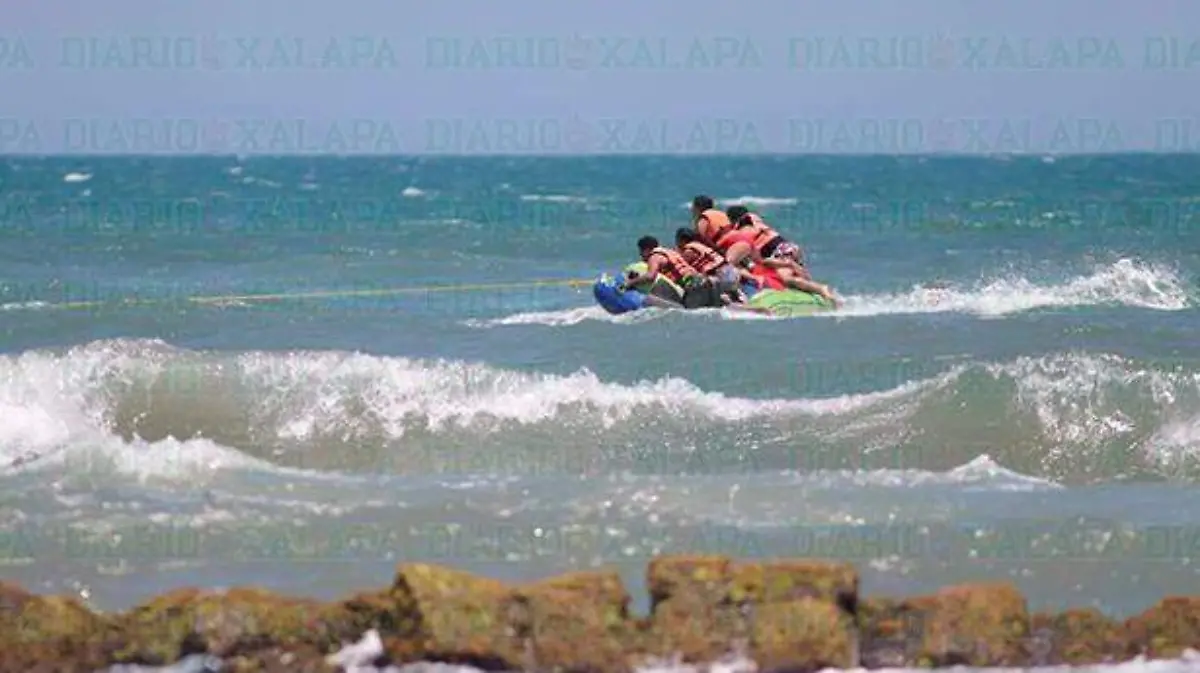 chachalacas31