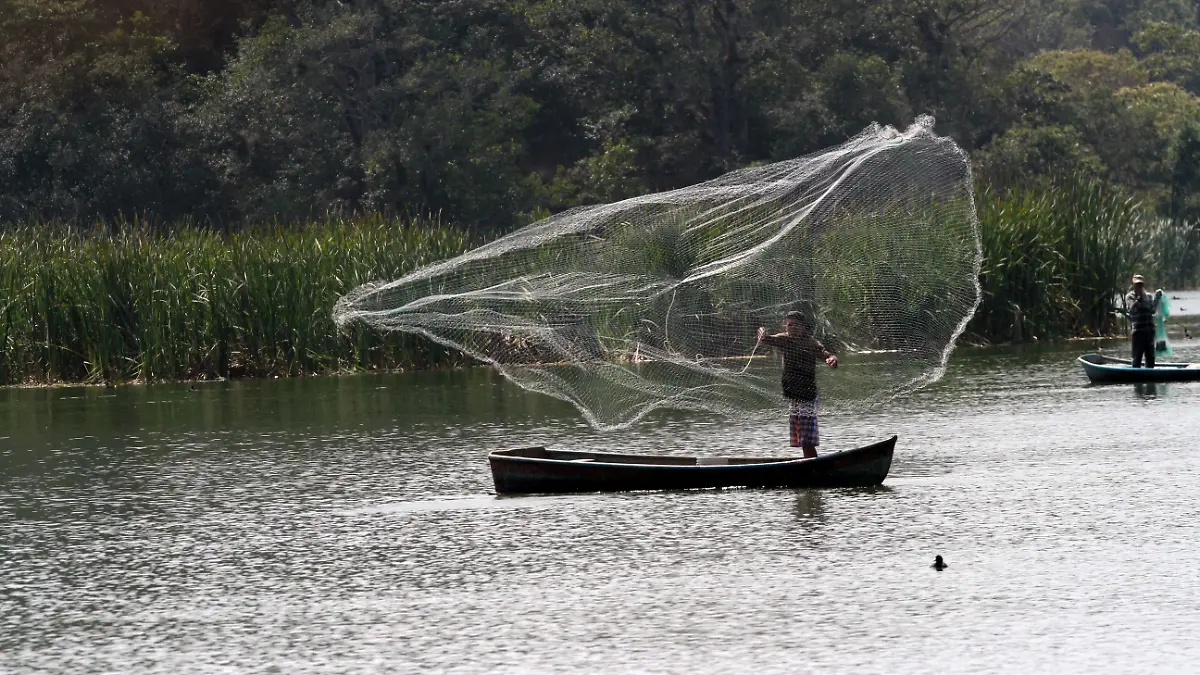 JE080220239287Pescadores