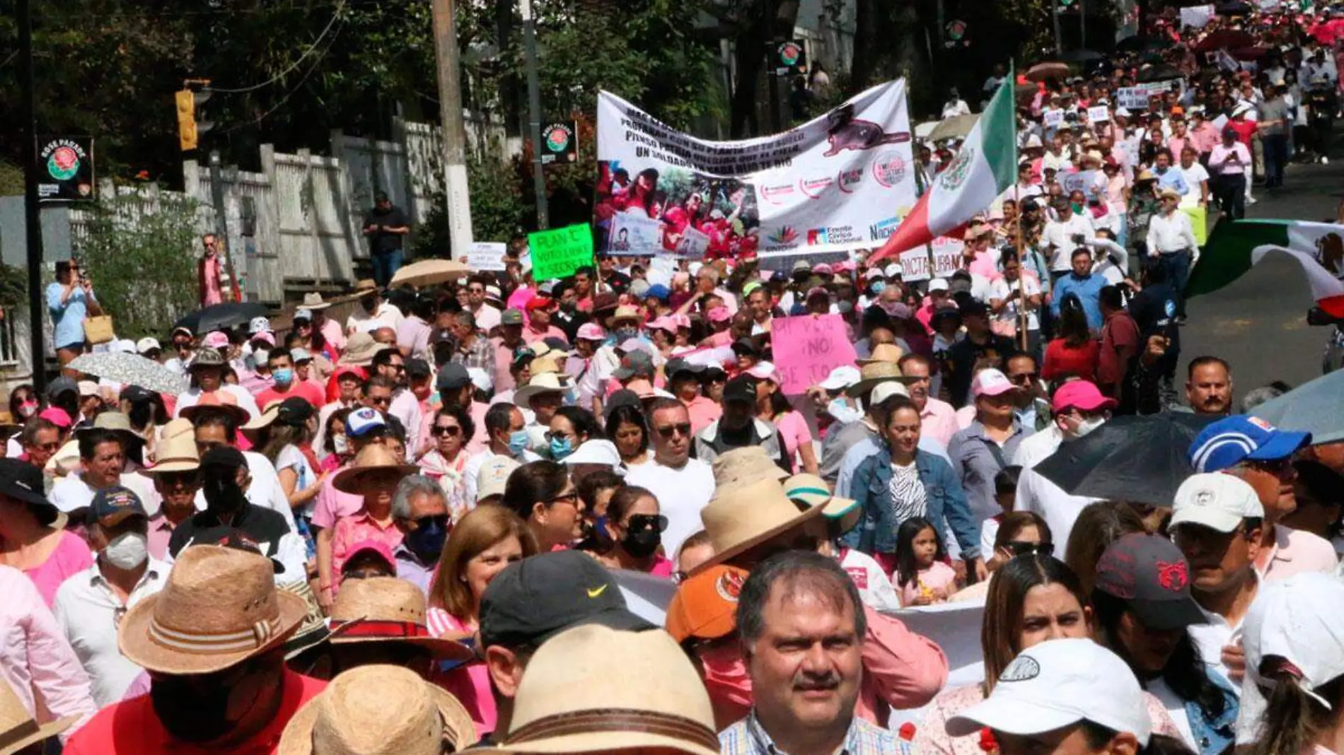 Marcha-defensa-INE-David-Bello-calles