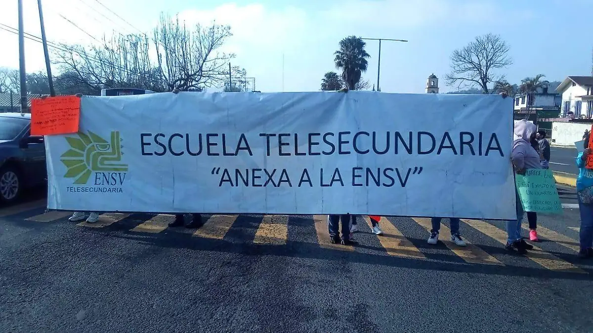 Manifestación Telesecundaria