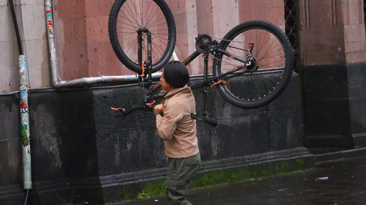 Bicicletas DAVID