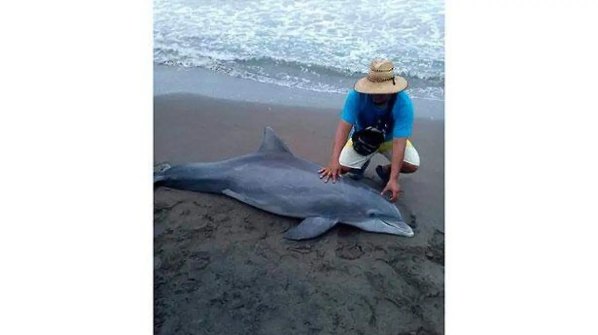 514--okBLANCO-Y-NEGRO