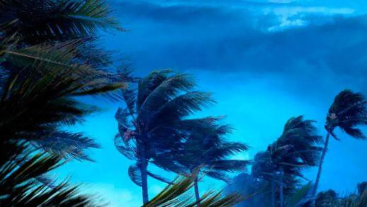 istockphoto-1309471243-612x612