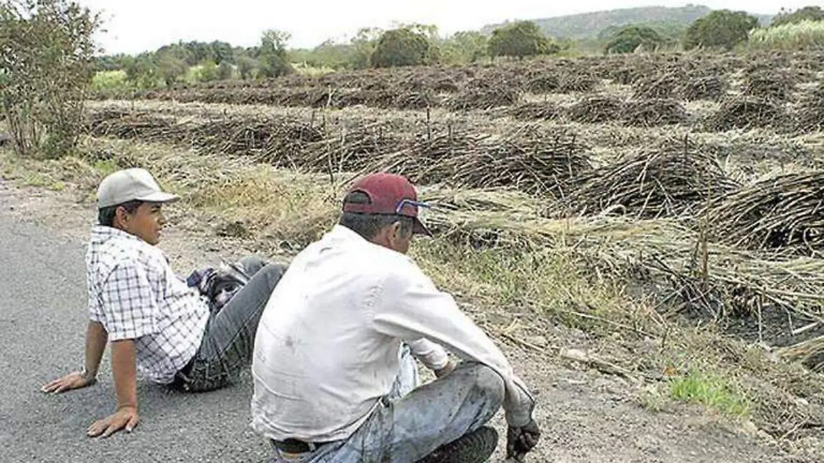 CORTADORES