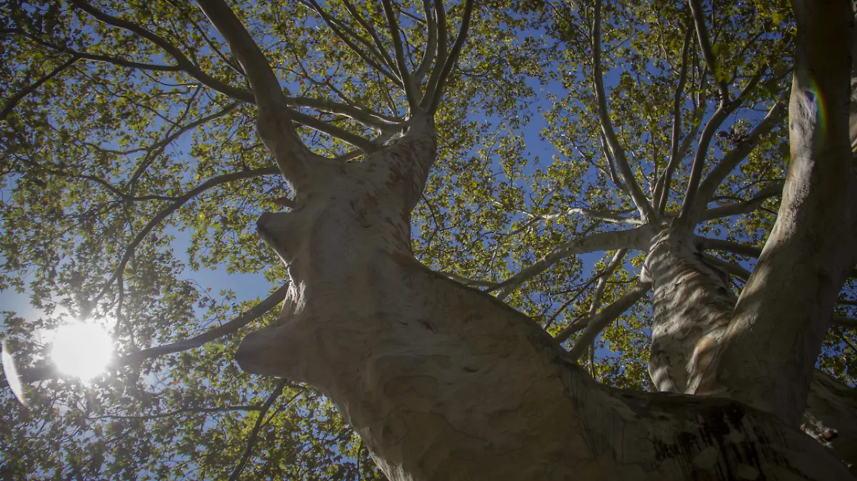 AD280218Entrevista6802