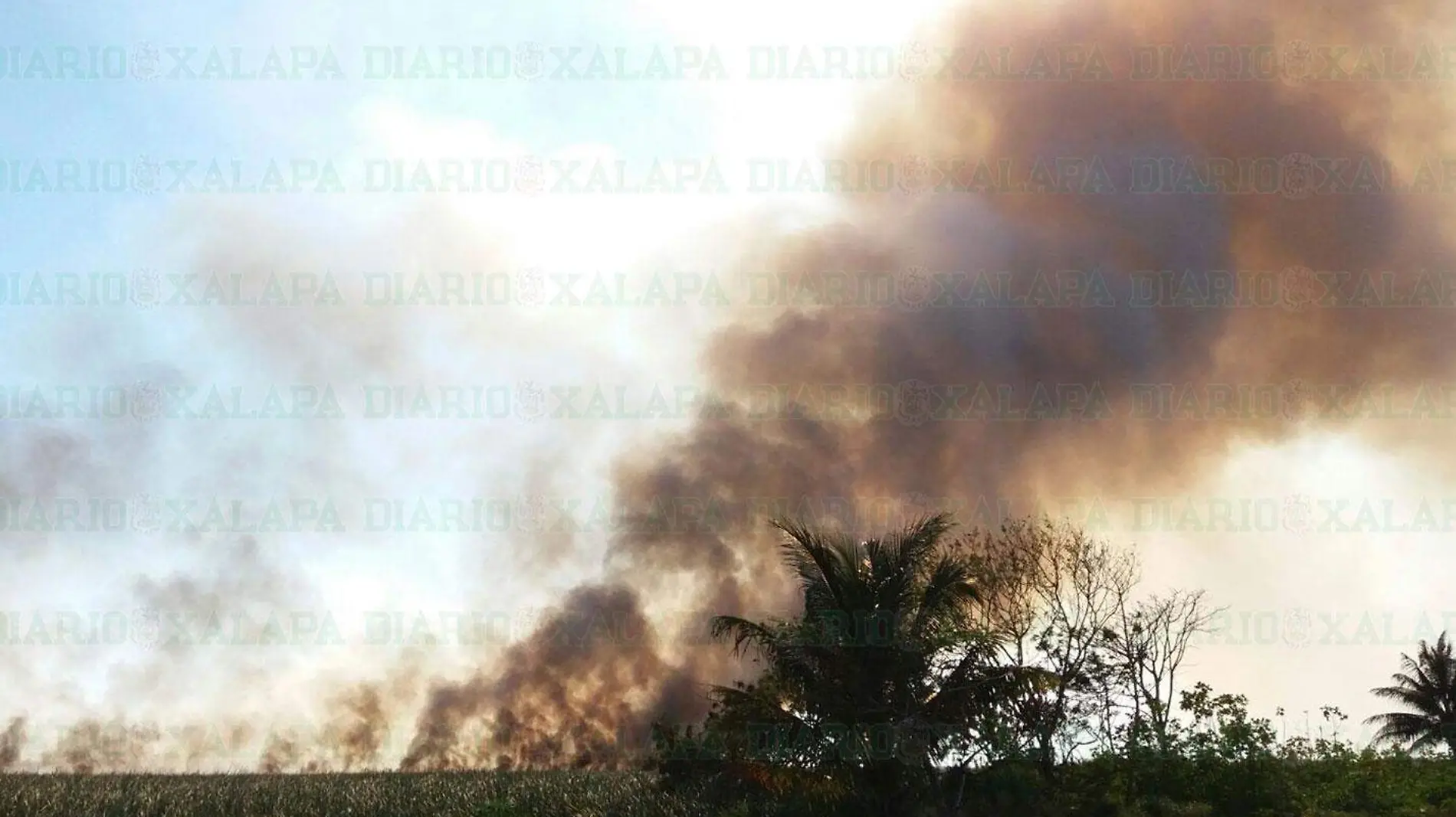 Incendio-pastizal