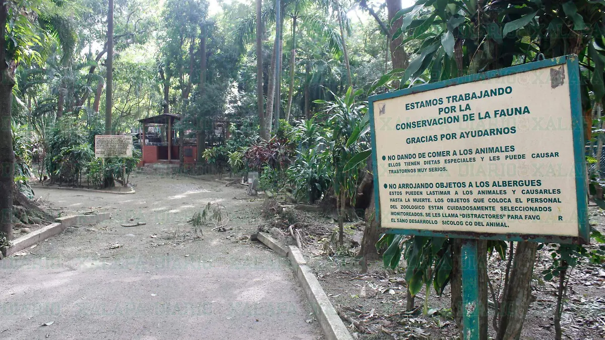 Zoologico