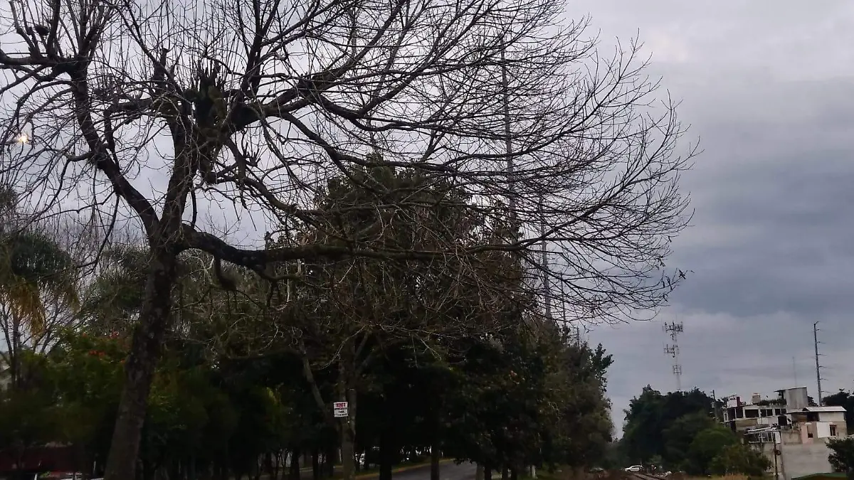 clima xalapa