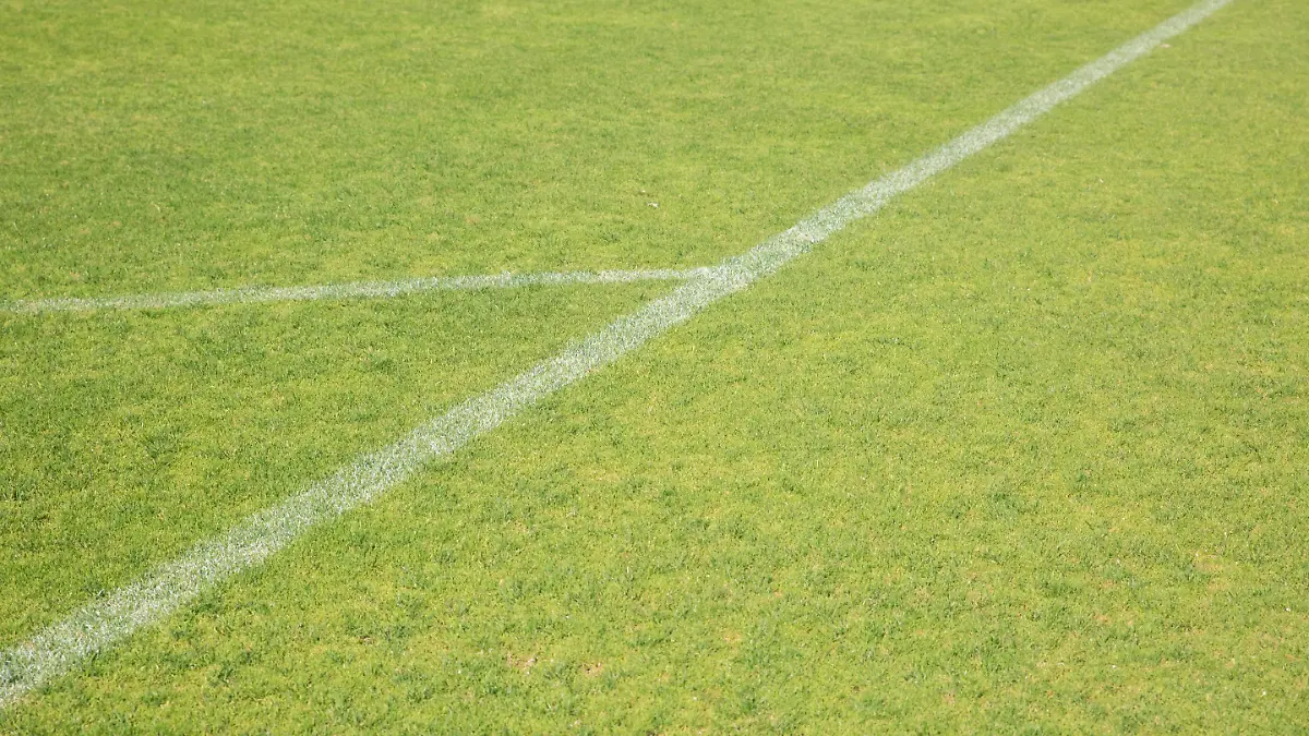 pexels-kampus-production-8941568