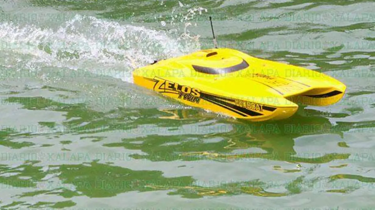 Botes-de-radio-control9328