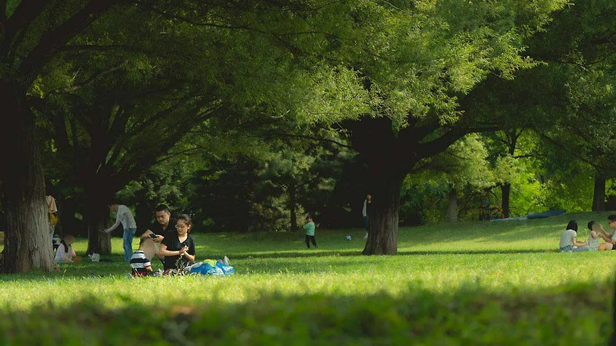 Familia-en-Parque
