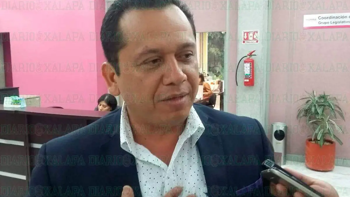 diputado