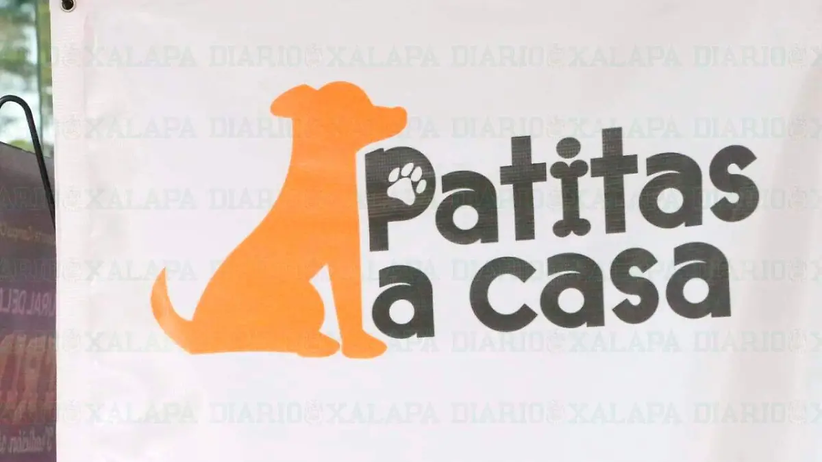patitasacasa