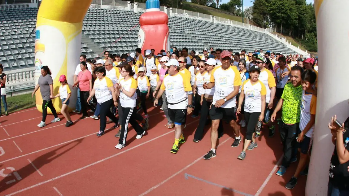 WhatsApp Image 2017-02-19 at 10.17