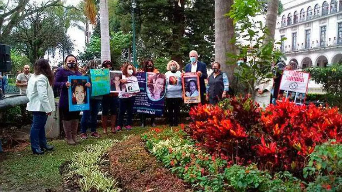colectivos-búsqueda