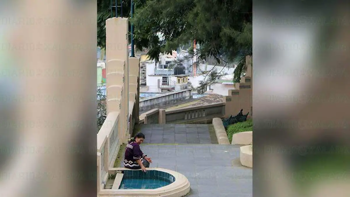 Paseo del Ayuntamiento 4 barrios 