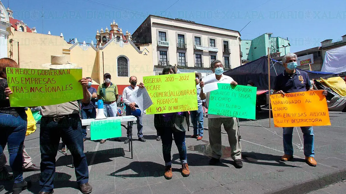 cafetaleros