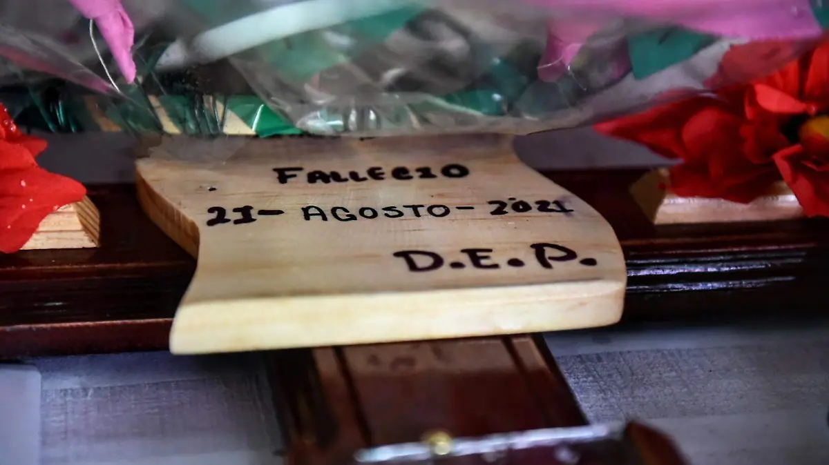 RENE-loma bonita (2)